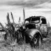Black And White Truck In Desert paint by number
