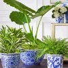 Blue And White Chinese Pots paint by number