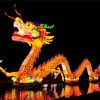 Dragon Chinese New Year paint by number