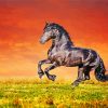 Friesian Horse With Red Sky paint by number