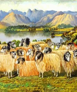 Herdwick Sheep Art paint by number