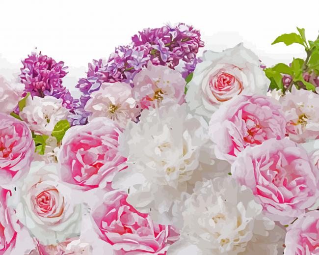 Pink And White Lilac Rose paint by number