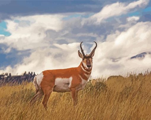 Pronghorn Wild Animal paint by number