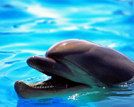 Smiling Dolphin paint by number
