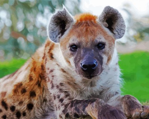 Spotted Hyena paint by number