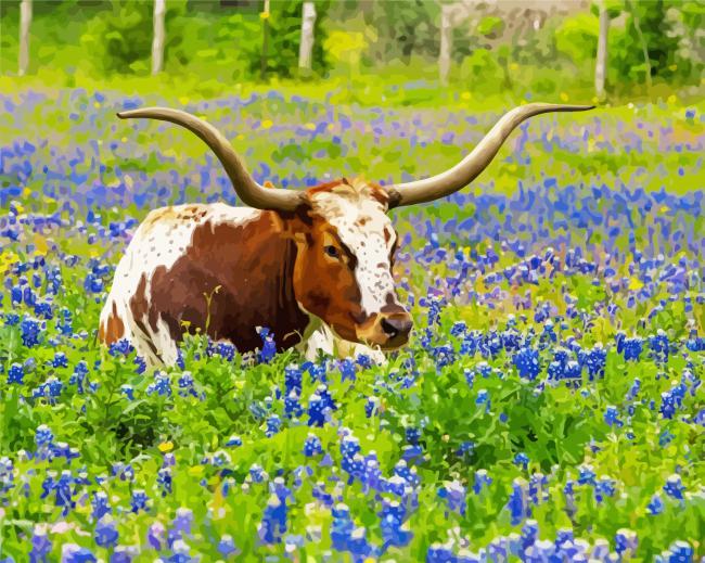 Texas Bluebonnets And Longhorn paint by number