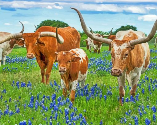 Texas Longhorns And Bluebonnets paint by number