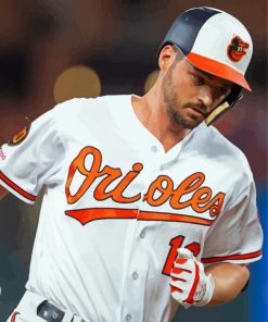 Baltimore Orioles Professional Player paint by number