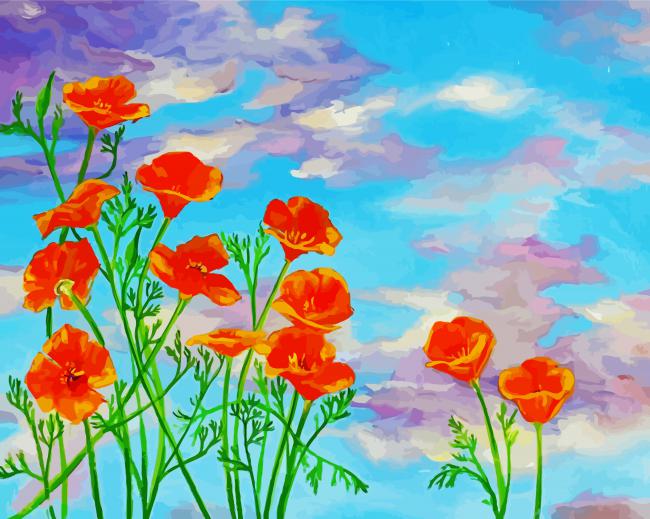 California Poppy Flowers paint by number