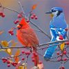 Cardinal And Blue Jay On Branch paint by number