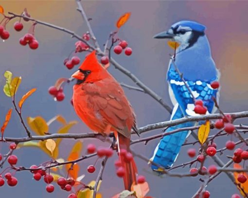 Cardinal And Blue Jay On Branch paint by number