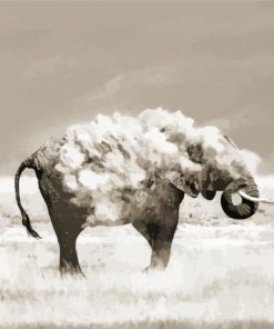 Elephant Dust Animal paint by number