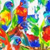 Lorikeets Birds Art paint by number