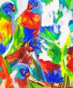 Lorikeets Birds Art paint by number