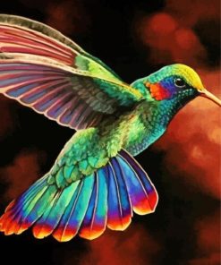 Rainbow Hummingbird paint by number