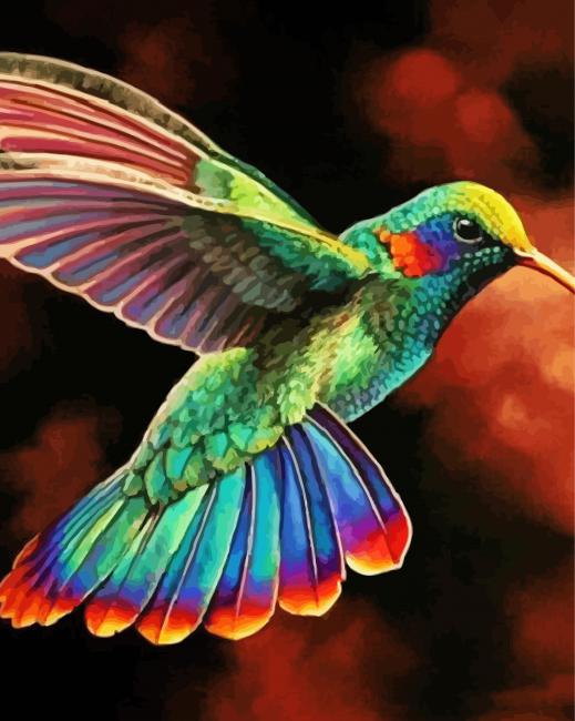 Rainbow Hummingbird paint by number