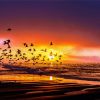 Silhouette Birds In Capitola Beach paint by number