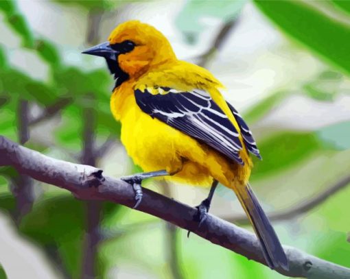 Yellow Oriole Bird paint by number
