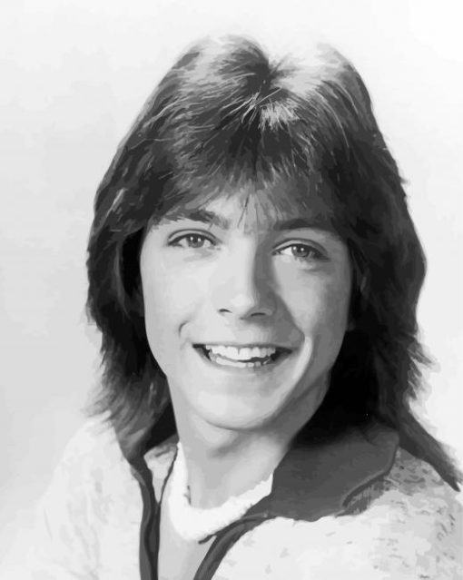 Black And White Young David Cassidy paint by number