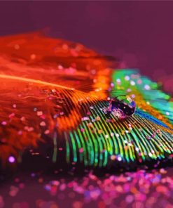 Peacock Feather And Glitter paint by number