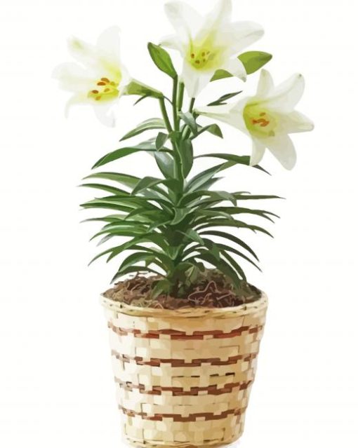 White Easter Lilies paint by number