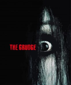 The Grudge Poster paint by number
