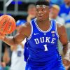 Zion Williamson Basketball Player paint by number