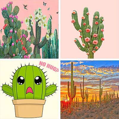 Cactus Paint By Numbers