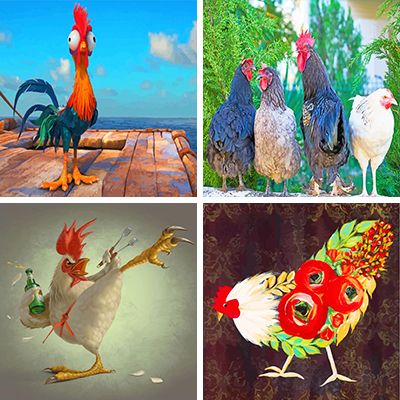Chickens Paint By Numbers