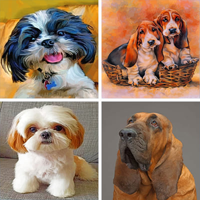 Dogs Paint By Numbers
