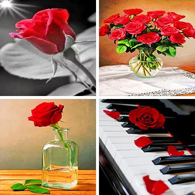 Red Roses Paint By Numbers