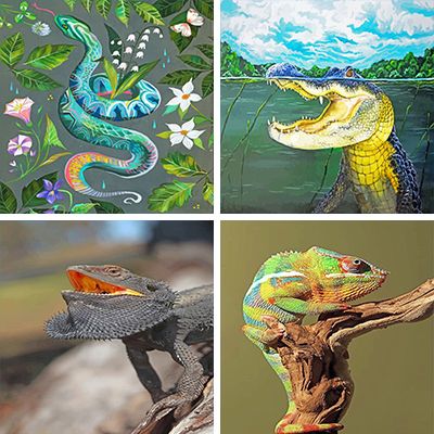 Reptiles Paint By Numbers