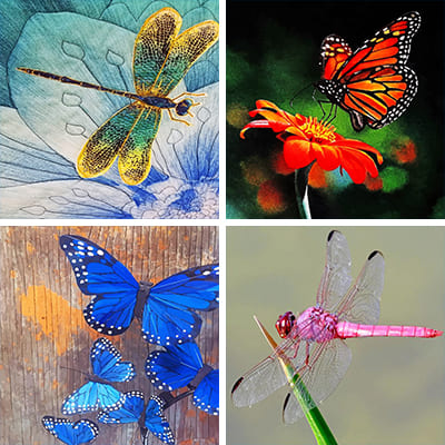 Insects Paint By Numbers