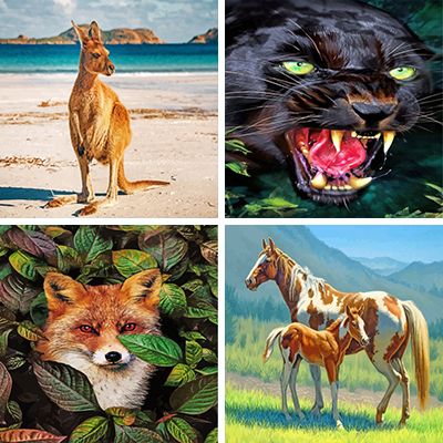 Wild Animals Paint By Numbers