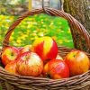 Apple Basket Fruit painting by numbers