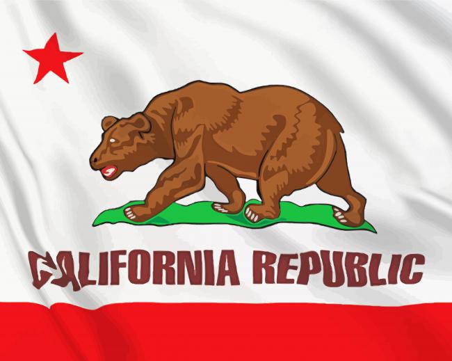 California Republic Flag paint by numbers