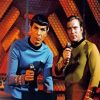 Captain Kirk Spock Star Trek Paint by Numbers