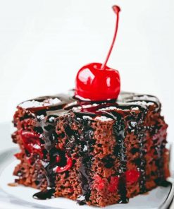 Cherry Chocolate Cake paint by numbers