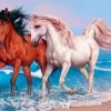 Couple Horses On Beach Paint by Numbers