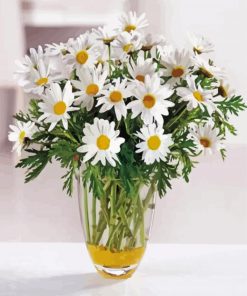 Daisy In A Vase paint by numbers