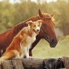 Dog And Horse paint by numbers