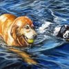 Dogs Swimming Art Paint by Numbers