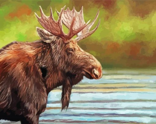 Moose Head paint by numbers