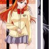 Orihime Inoue Bleach Paint by Numbers