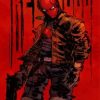 The Red Hood Art Paint by Numbers