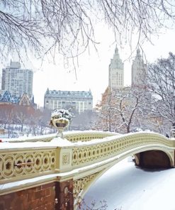 Beautiful Winter Central Park paint by numbers