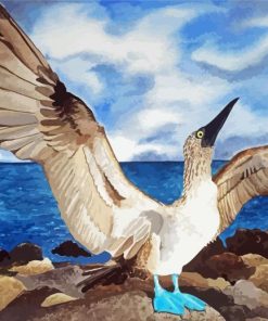 Cool Blue Footed Booby paint by numbers