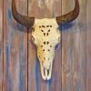 Decorative Cow Head Skull Paint by Numbers