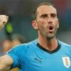 The Footballer Diego Godin Paint by Numbers
